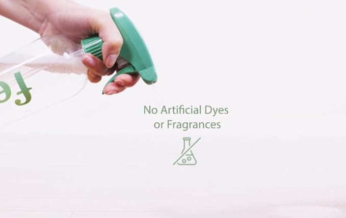 Fern Multi-Surface & Complete Floor Care Solution with 24oz Forever Spray Bottle and 4 Eco-Friendly Concentrate Packets for a Sparkling Clean Home.