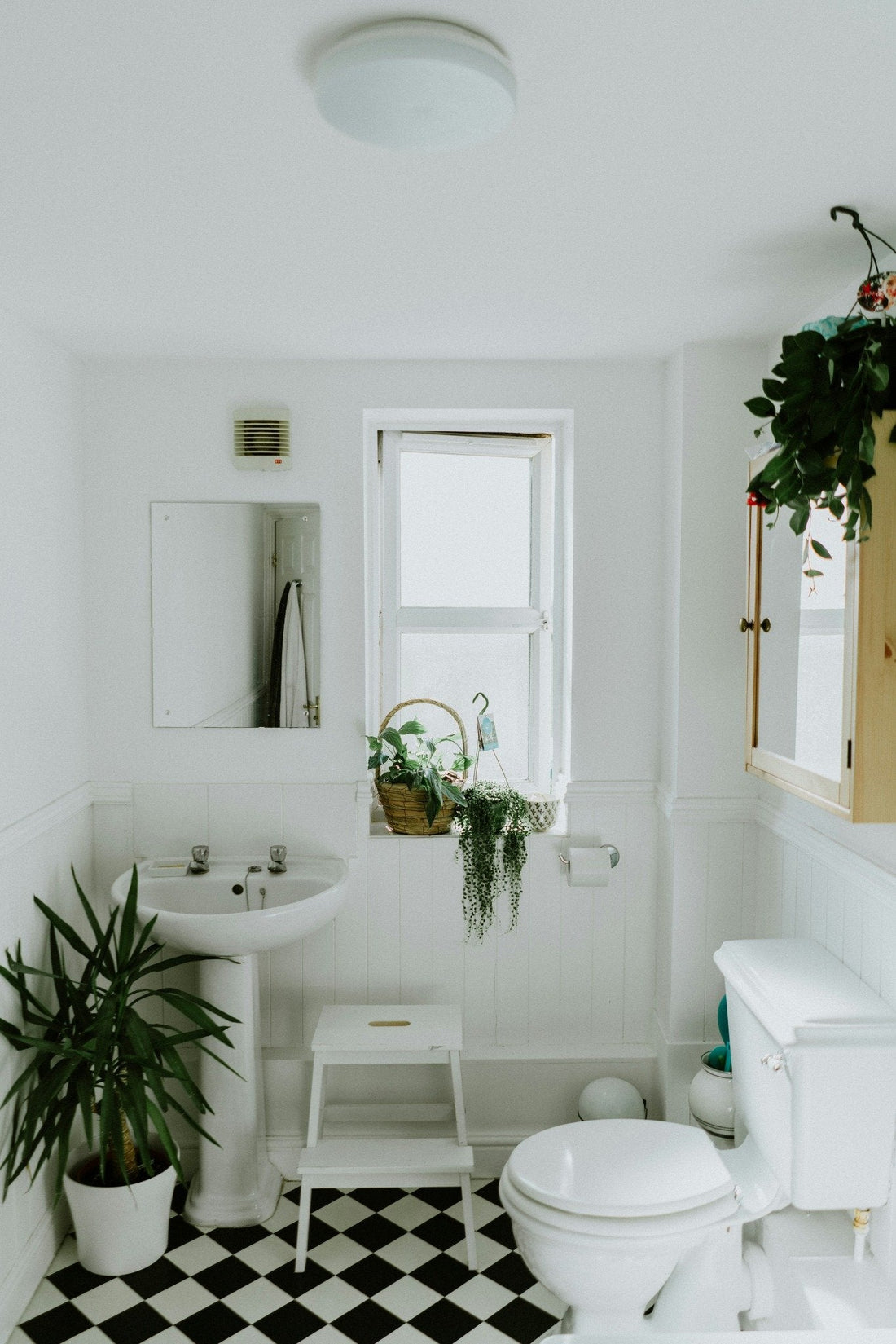 Simple Daily Habits to Eliminate Hidden Mold Spores Naturally